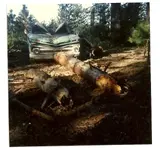 Scan_Pic0019.webp