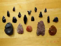 DSCN2496.webp