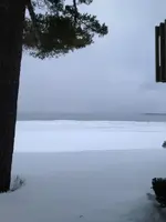 gt_bay_winter.webp gt_bay_winter.webp