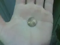 penny.webp