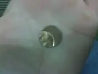 penny1.webp
