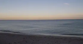 DSCN0181.webp