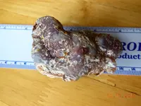 FSCN2108.webp