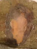 image-2135575431.webp