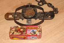 mousetrap.webp
