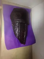 image-2037648342.webp