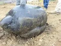 2013100295091053.webp