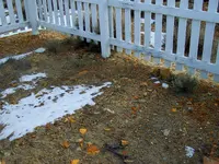 point of rocks 3.webp