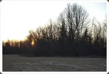 North Oshawa.webp