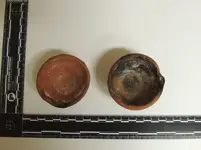 DSCN3595.webp