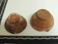 DSCN3597.webp