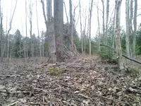 2013-11-16 16.25.56.webp