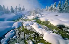 1375306_10151607740302131_1129226920_n.webp