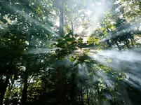 1395155_10151647011587131_136325436_n.webp