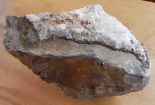 DSCN7685.webp