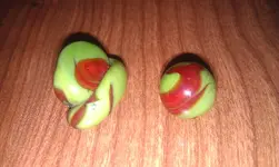 IMAG0718.webp