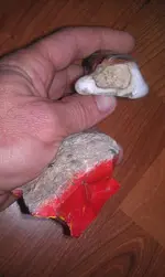 IMAG0715.webp