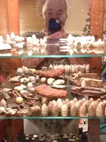image-3947579225.webp