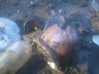 131203_002.webp
