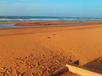 strand1.webp