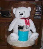bear1.webp