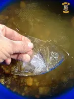 1459240_574112869309490_1369801031_n.webp