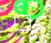 Aster_LAD_Alter_Zones_6crop.webp