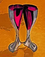 split cup.webp