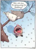 snowflakes.webp