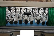 Tailgate Zebra.jpg