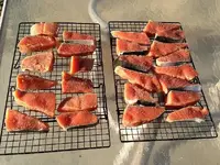 salmon1.webp