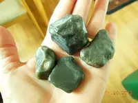 DSCN2405.webp