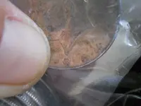 DSCN1172.webp