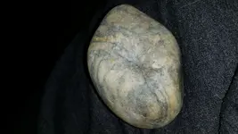 20131128_064946.webp