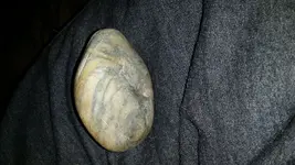 20131128_064958.webp