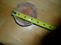 Bob's lid #4.webp