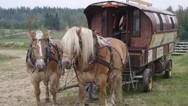 2-wagon-horses-227036.webp
