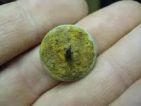cellar holes and quarry 1 018.webp