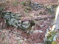 cellar holes and quarry 020.webp