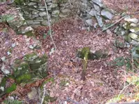 cellar holes and quarry 021.webp