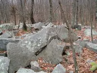 cellar holes 017.webp
