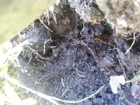 20131226_102137.webp