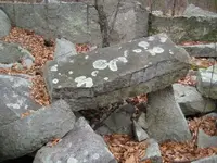 cellar holes 019.webp