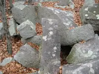 cellar holes 020.webp