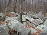 cellar holes 023.webp