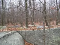 cellar holes 024.webp