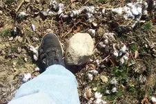 100_4471.webp