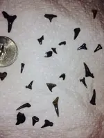 image-2855142937.webp