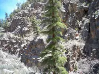 100_1743.webp