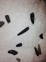 image-2784096008.webp